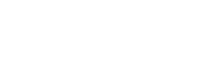 Vincent Associates